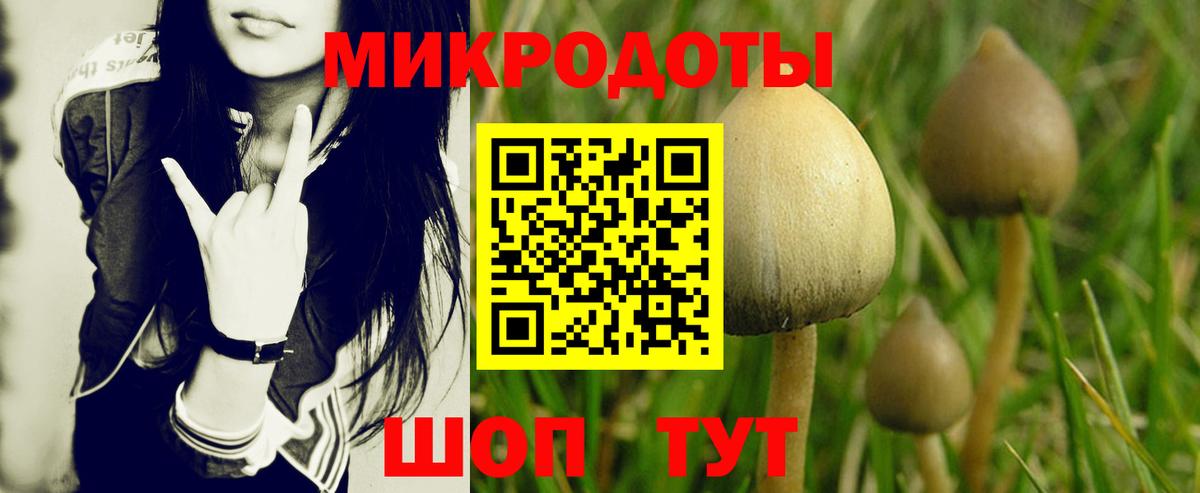 Псилоцибиновые грибы мицелий  где купить наркоту  Ноябрьск  Вход с VPN 